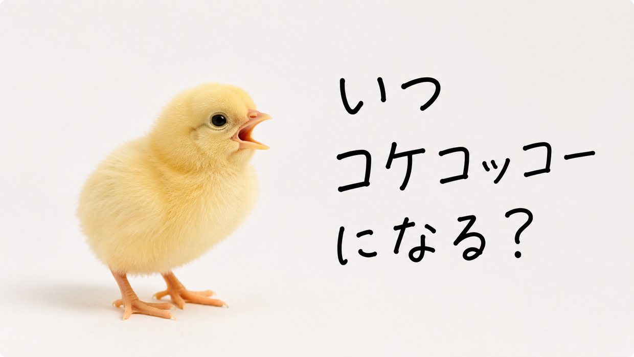 くちばしを開けてピヨピヨと鳴く、ふわふわのヒヨコ一羽の実写写真。手書きの文字で「いつコケコッコーになる?」
