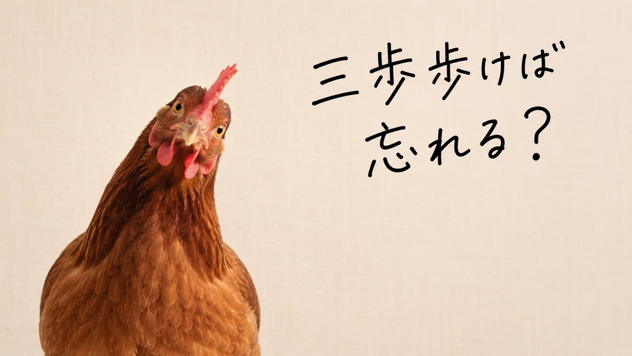 首をかしげて見上げる、賢そうで落ち着いた茶色いめんどりの写真。手書きの文字で「三歩歩けば忘れる？」