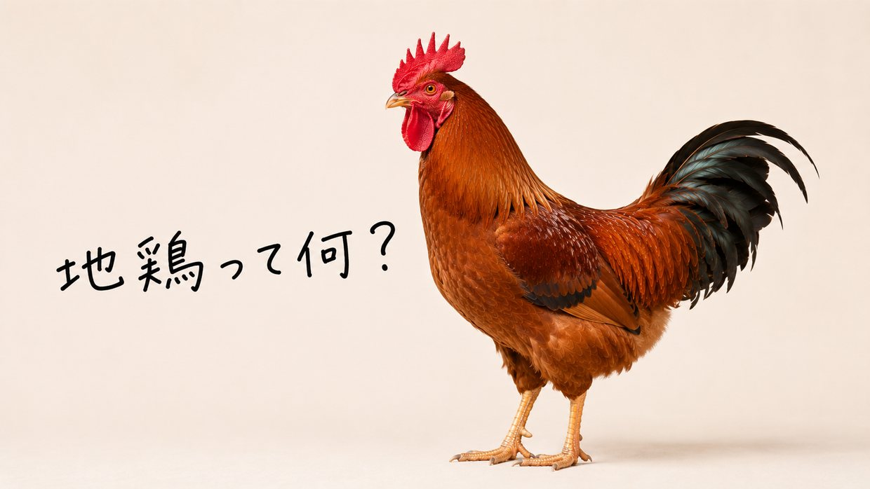 茶色い地鶏の実写写真。手書きの文字で「地鶏って何？」